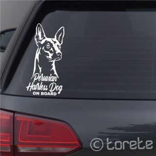 🇨🇿 🐾 Ve stálé nabídce najdete například tohoto peruánského naháče a dalších 169 plemen! 🐶 🇩🇪 🐾 In unserem festen Angebot...