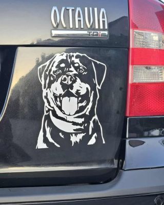 🇨🇿 🐾 Děláme originální nálepky podle fotky vašeho pejska! 🐶 Vyberte si barvu 🎨, velikost 📏 a my vytvoříme nálepku přesně...