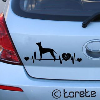 🇨🇿 🐾 Ve stálé nabídce najdete například tohoto peruánského naháče a dalších 169 plemen! 🐶 🇩🇪 🐾 In unserem festen Angebot...