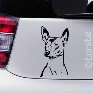 🇨🇿 🐾 Ve stálé nabídce najdete například tohoto peruánského naháče a dalších 169 plemen! 🐶 🇩🇪 🐾 In unserem festen Angebot...