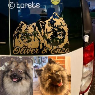 🇨🇿 🐾 Děláme originální nálepky podle fotky vašeho pejska! 🐶 Vyberte si barvu 🎨, velikost 📏 a my vytvoříme nálepku přesně...