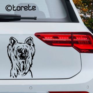 🐾 Nový motiv na e-shopu! 🐶 Do naší nabídky právě přibyl čínský chocholatý pes 💕...