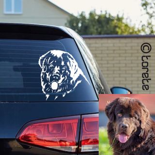 🎄🐾 Vánoční nálada je tady a my máme pro vás jednu speciální ukázku! Podle fotky jsme vytvořili nálepku s nádherným...