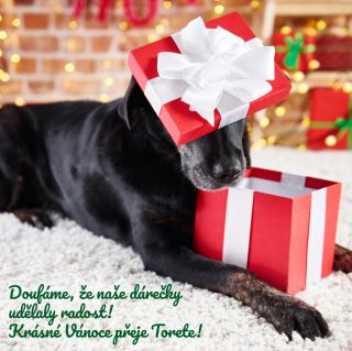 🎄✨ Doufáme, že jste si užili kouzelné rozbalování dárků! S láskou jsme sledovali, jak se naše malé nálepky a výtvory...